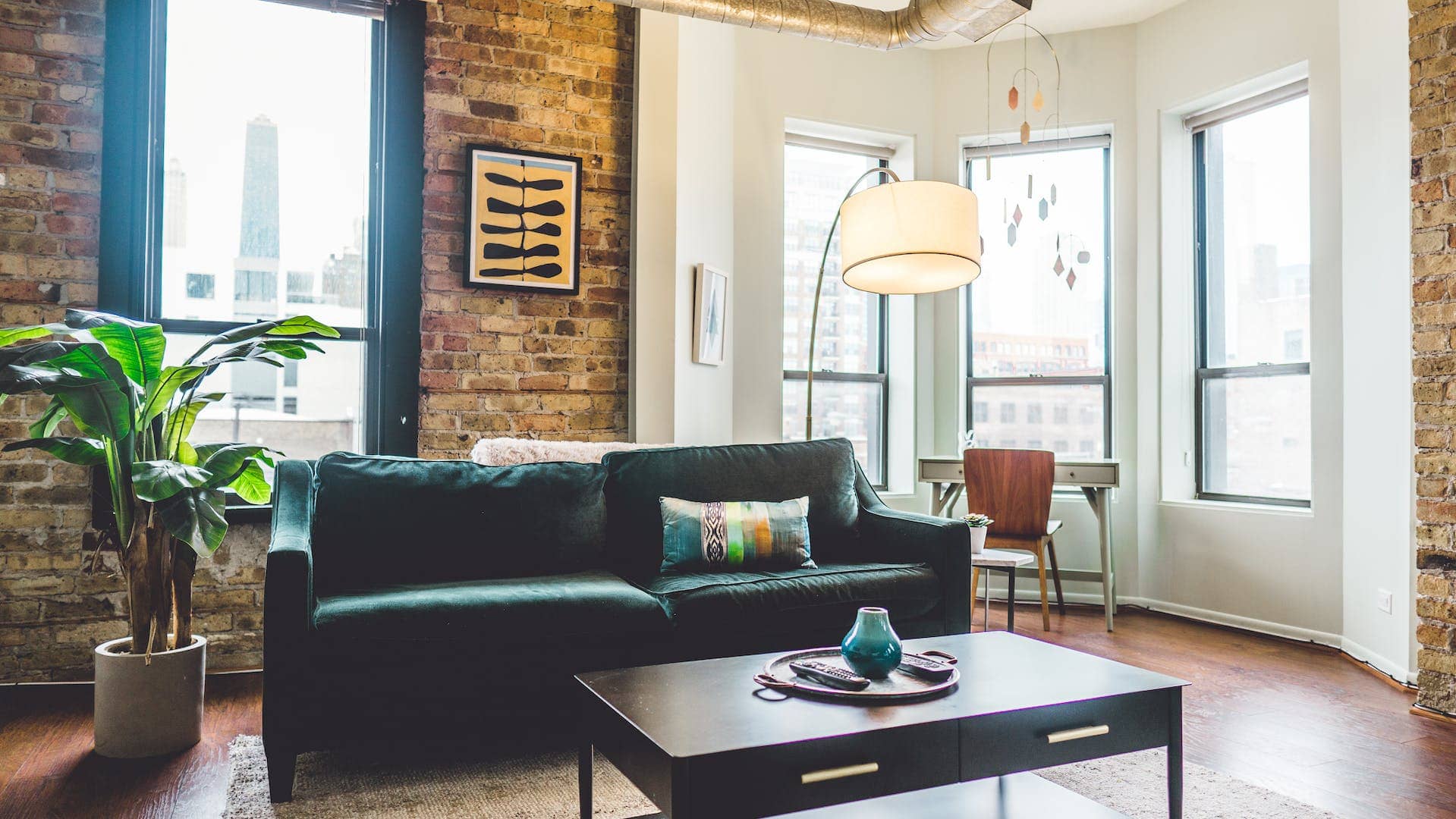 comfy living room with a blue couch, windows, and green leaf decorative plant